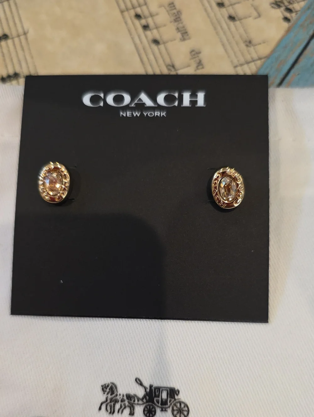 Coach Pale Pink Gem Oval Studs